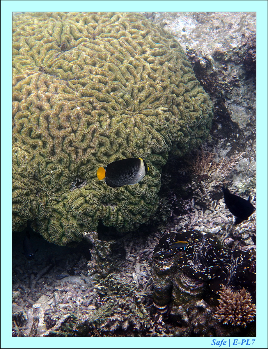 2016 - 07 - Leng Tengah - 018